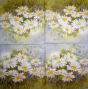 348 Daisies - 3-ply - CS